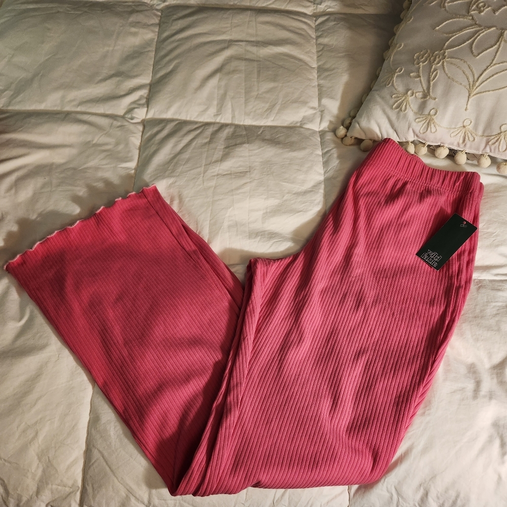 NWT.. Women's Wild Fable pants